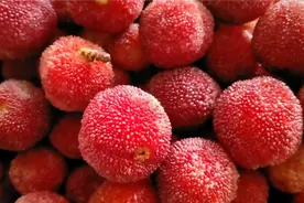 吃不完的杨梅，用这两种方法保存，半年以后还能吃酸甜的新鲜杨梅视频封面