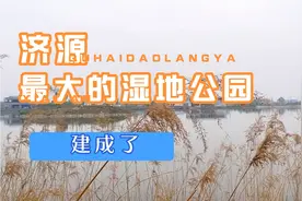 济源最大的湿地公园建成，每个周末便是人民最喜欢去的地方视频封面
