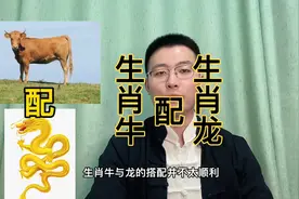 生肖牛配生肖龙相合还是相克？快转给身边属牛和属龙的人视频封面
