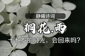 七里香歌词改编。空桐花的馨香记录着初恋的味道。像从前那样微笑