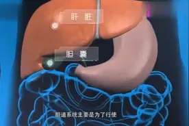 科普；演示胆囊切除手术全过程，胆囊炎胆结石微创手术！视频封面