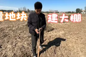 农村小伙建蔬菜大棚，明年种早西瓜，先把地里尺寸量准确，开建！视频封面