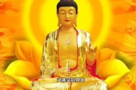 只要不放弃，就会创造奇迹。母爱超越死亡视频封面