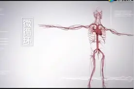 人体微循环介绍视频封面