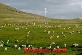 你们知道这首歌的创作背景吗？或牧羊人写下这首歌时的心情？视频封面