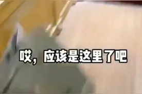 [美好TV]外卖小哥一觉醒来变成了女生视频封面