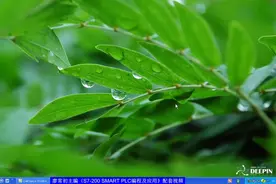 SMART软件使用视频封面