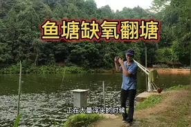 鱼塘缺氧翻塘！记住以下5点步骤，能把损失降到最低！视频封面