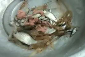 我老公不但喜欢钓鱼，还喜欢捕捞小鱼小虾，现在就看看他捞到什么视频封面