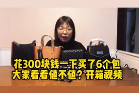 花300块钱买了6个包，这期的开箱视频包治百病