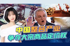 国际大宗商品铁矿石价格大跌？背后或是中西方定价权之争！视频封面