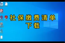 公司社保缴费清单下载和打印实际操作流程#社保