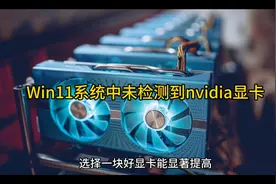 Win11系统中未检测到nvidia显卡解决教程