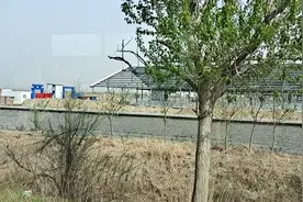 1.5万头.总投资7.4亿元，潍坊寒亭泊子优然牧业奶牛场终于建成视频封面