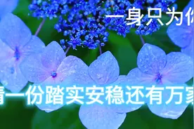 心中永远只有一个你视频封面