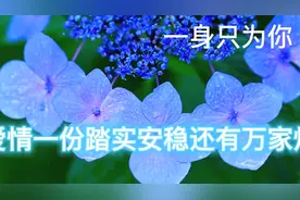 心中永远只有一个你视频封面