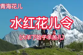 青海花儿-水红花儿令  传承弘扬民族文化