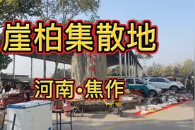 太行崖柏集散地，河南焦作！带领大家转转崖柏根雕把件！视频封面