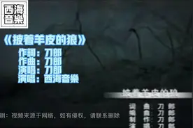 《披着羊皮的狼》MV KTV 卡拉OK 字幕 原版 完整版，分享给大家视频封面