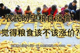 如果粮价涨到10元一斤，农民种地收入一年30万，你愿意做农民吗？