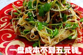 好吃又降火，炝拌黑豆芽，清脆又爽口，一大盘成本不到五元钱视频封面