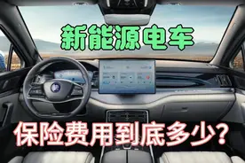 传统燃油车和新能源电车对比保险费用，买的十台车的实际数据视频封面