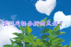云淡风轻分析的太好了！视频封面