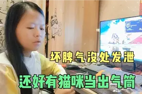 其实养猫还是有好处的，心情不好就骂它几句，看看肥仔一脸的委屈
