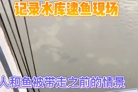 记录济南章丘大站水库逮鱼现场，违规男子和鱼被带走之前的情景视频封面