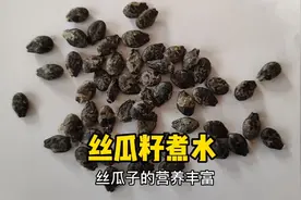 丝瓜籽煮水原来还有这妙用，省钱又实用，懂的人当宝一样收回家视频封面