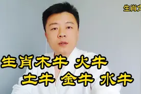 传统文化 您是那年出生的，看看您是哪个五行的生肖牛视频封面