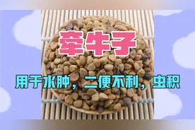 牵牛子，泻下通便，逐水消肿，杀虫攻积，用于二便不利水肿虫积