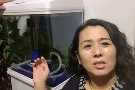 鱼缸不养鱼了，也没人说我偷水了，想送人，老公说鱼缸不能送人。视频封面