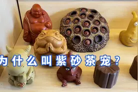 为什么叫紫砂茶宠？视频封面