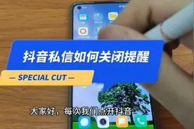 抖音私信如何关闭提醒 抖音聊天设为免打扰会怎么样