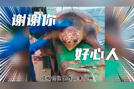 搞笑配音:  谢谢你们帮我清理藤壶，太谢谢啦视频封面
