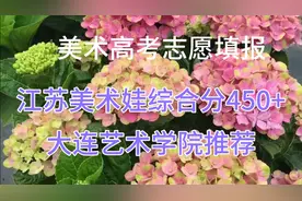 326江苏省美术娃综合分450+择校推荐之大连艺术学院