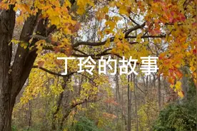 二十年代的旧中国一妻一妾很常见，但是丁玲和两个男人一起生活。视频封面