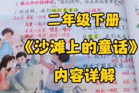 二下语文：《沙滩上的童话》内容详解，这是一个关于什么的童话？视频封面