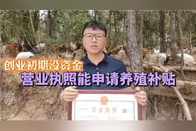 创业养殖起步资金少，申请注册营业执照就能申请15万元无利息贷款视频封面