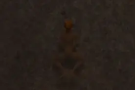 跳舞的青蛙教你登dua郎，来不来？