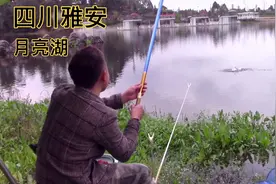 四川雅安：名山区月亮湖！在这种环境下钓鱼那叫一个爽！