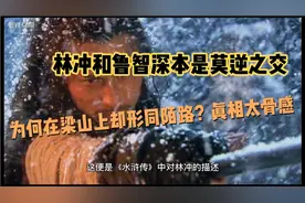 林冲和鲁智深本是莫逆之交，为何在梁山上却形同陌路？