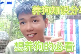 养狗知识，新手想养狗的必看～视频封面