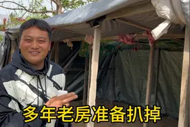 大脸姥娘家准备盖新房，三姨特意交代拆空调，现学现卖干的还不赖视频封面