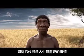 你所不知道的内裤发展史：人类从挂空挡到全副武装视频封面