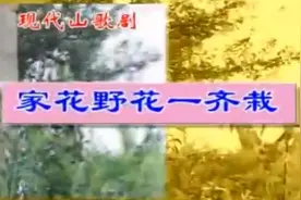 云南山歌：家花野花一起栽  第一集视频封面