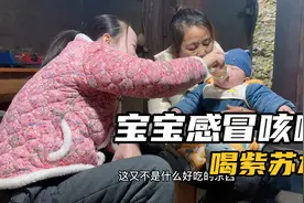 宝宝感冒咳嗽，姨妈建议用紫苏泡水喝，不知道效果如何