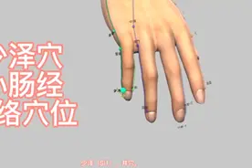 少泽穴_小肠经_经络穴位视频封面