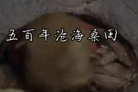 孙悟空被压五指山配上《五百年沧海桑田》瞬间感受到苍凉悲伤视频封面